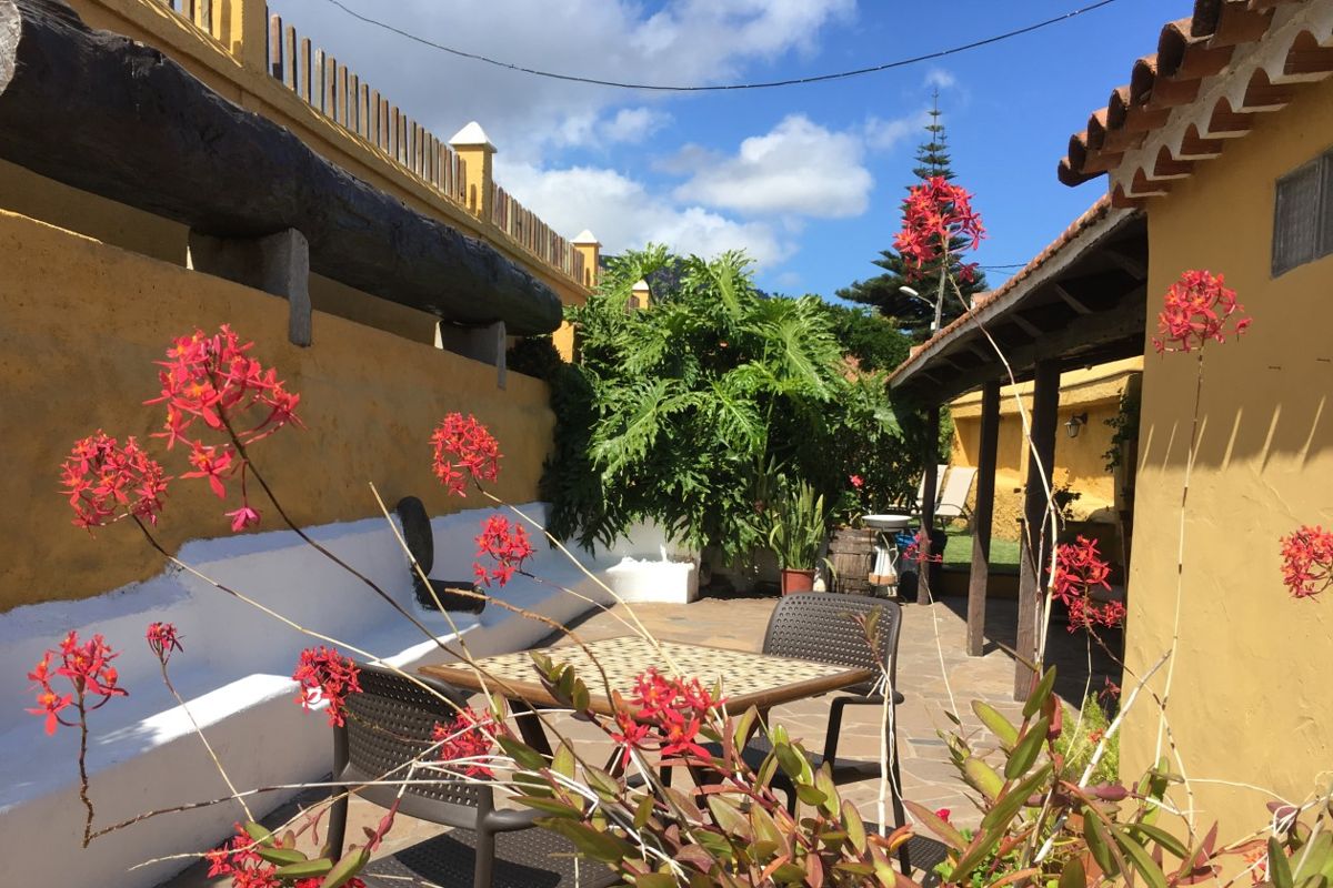 Cour intérieure avec fleurs rouges et mobilier de jardin à Tenerife.