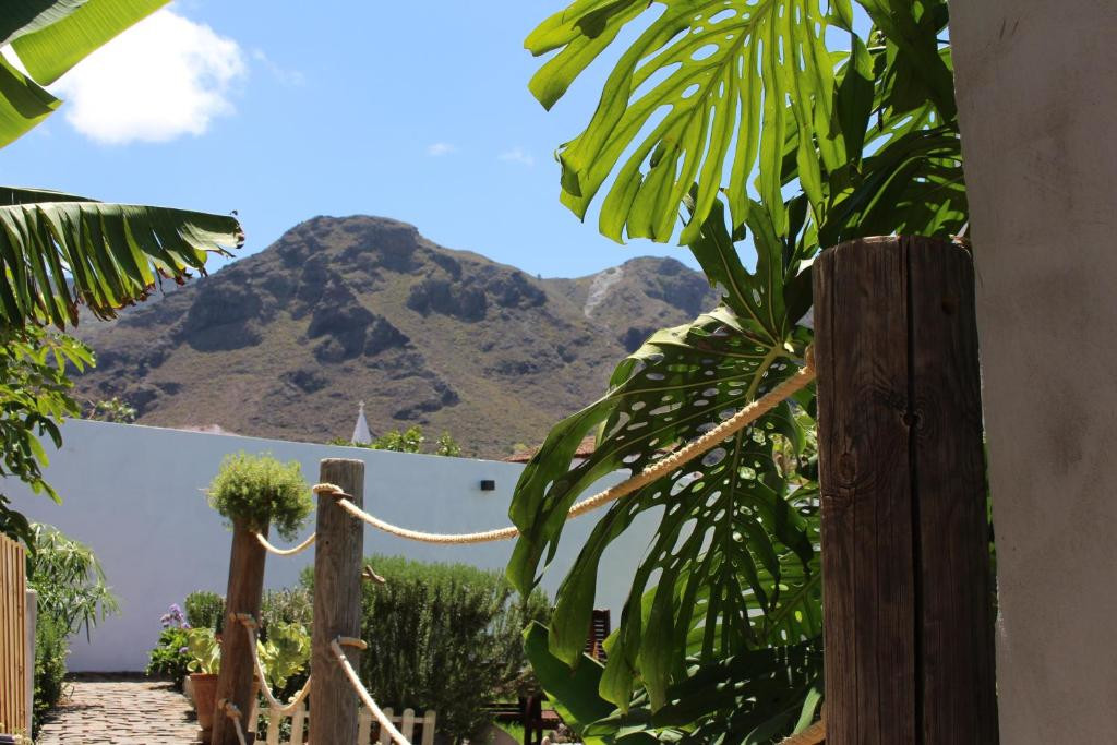 Plantes tropicales et vues sur les montagnes à Tenerife.