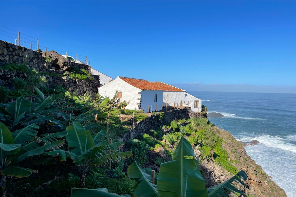 Maison blanche près de la mer à Tenerife entourée de végétation et de bananiers.