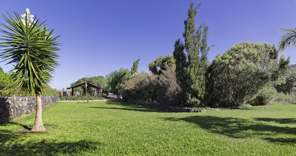 Jardin avec pergola et arbres à Tenerife.