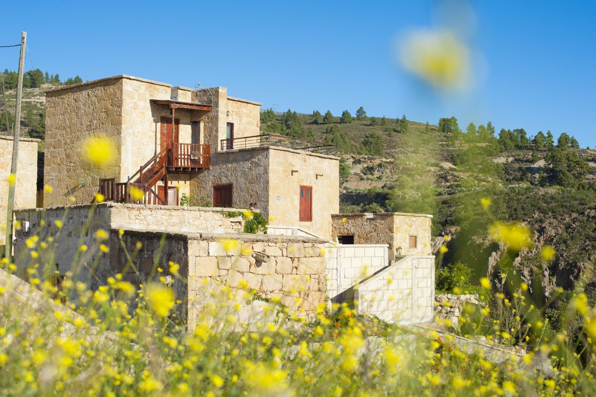Maison en pierre avec fleurs jaunes, collines verdoyantes en arrière-plan, Tenerife.