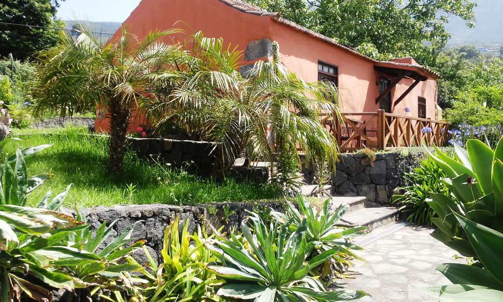 Maison en pierre près de Palmeraie, entourée de verdure à Tenerife.