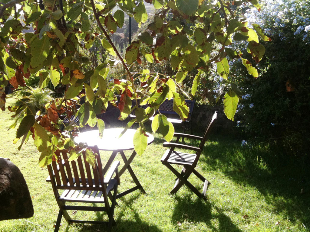 Chaises et table en bois sous un arbre dans un jardin à Tenerife.