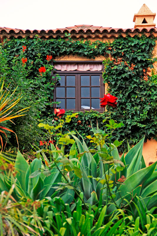 Façade recouverte de lierre et jardin à La Orotava, Tenerife.
