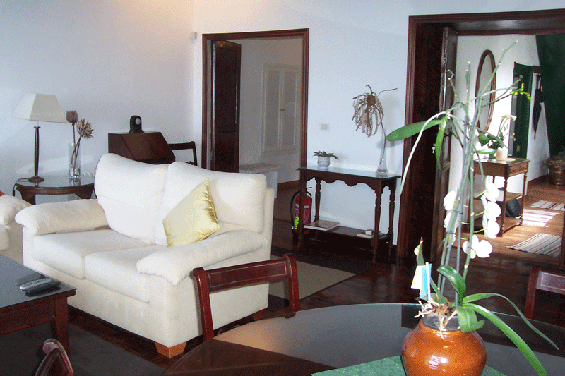 Salon confortable avec canapé blanc et plantes à La Laguna, Tenerife.