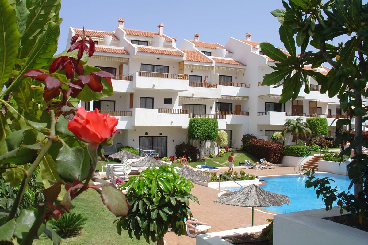 Bâtiment résidentiel blanc avec piscine, plantes et parasol à Tenerife.