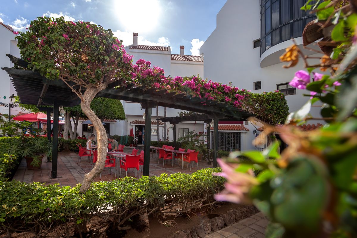 Terrasse fleurie avec des tables rouges à Tenerife.