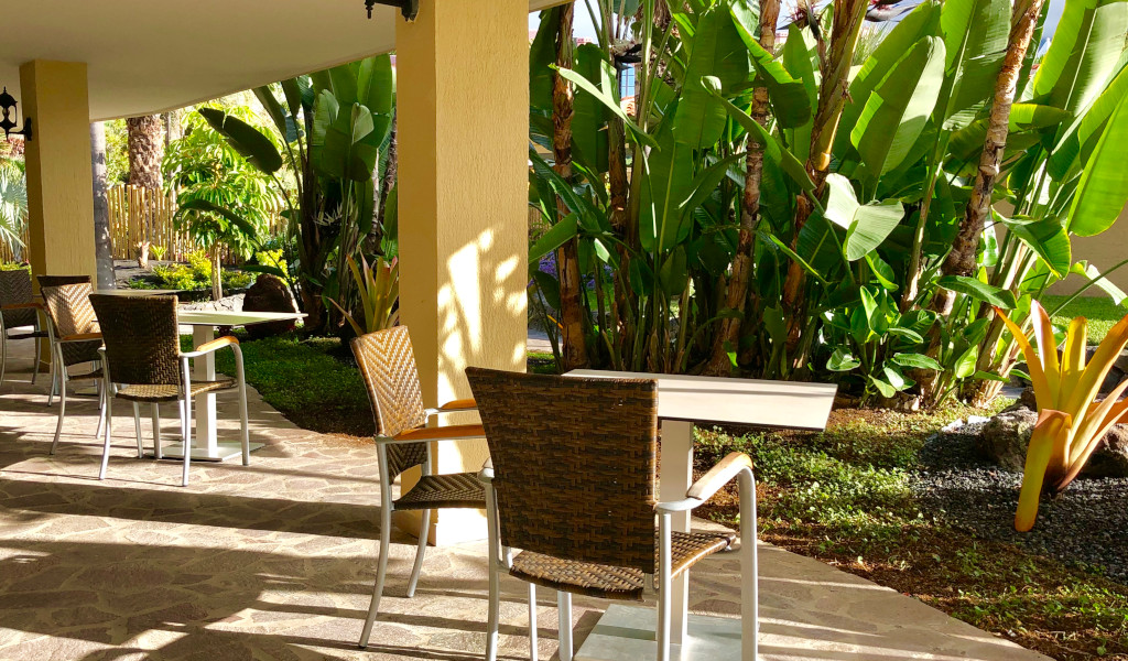Terrasse extérieure avec chaises en osier et plantes vertes à Tenerife.