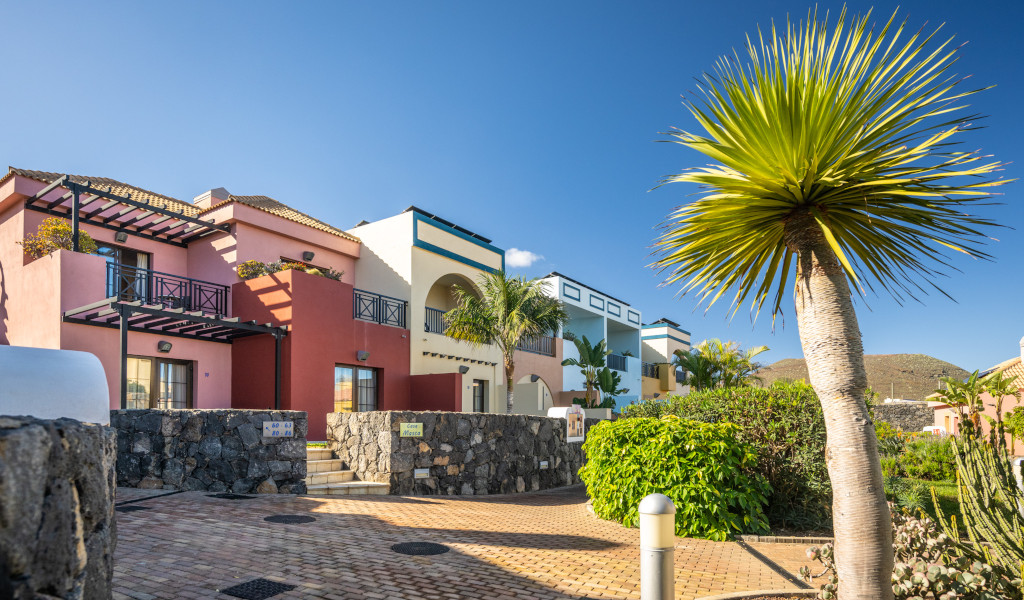 Maisons colorées et palmier à Tenerife, route nommée Calle Mirador.
