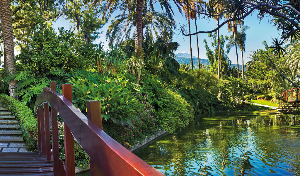 Pont en bois au-dessus d'un étang dans un jardin à Puerto de la Cruz, Tenerife.