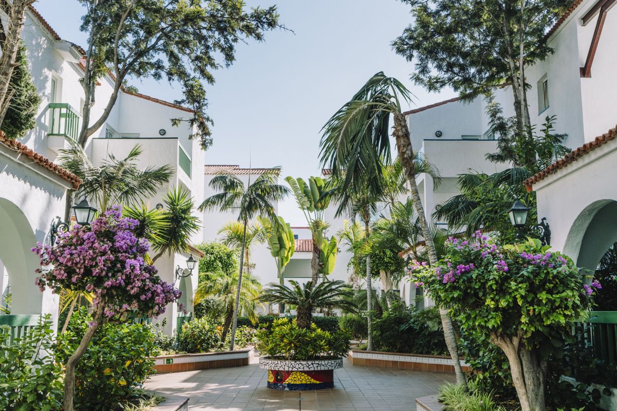 Bougainvilliers et palmiers dans une cour à Tenerife.