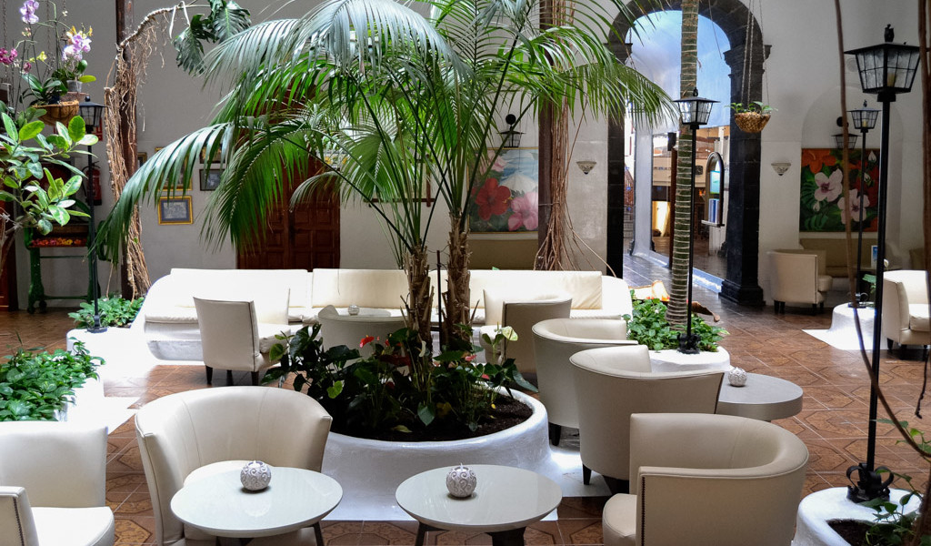 Espace détente avec palmiers et fauteuils à Tenerife.