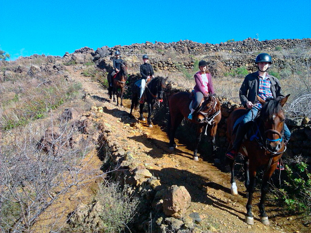 La Casona del Patio-2