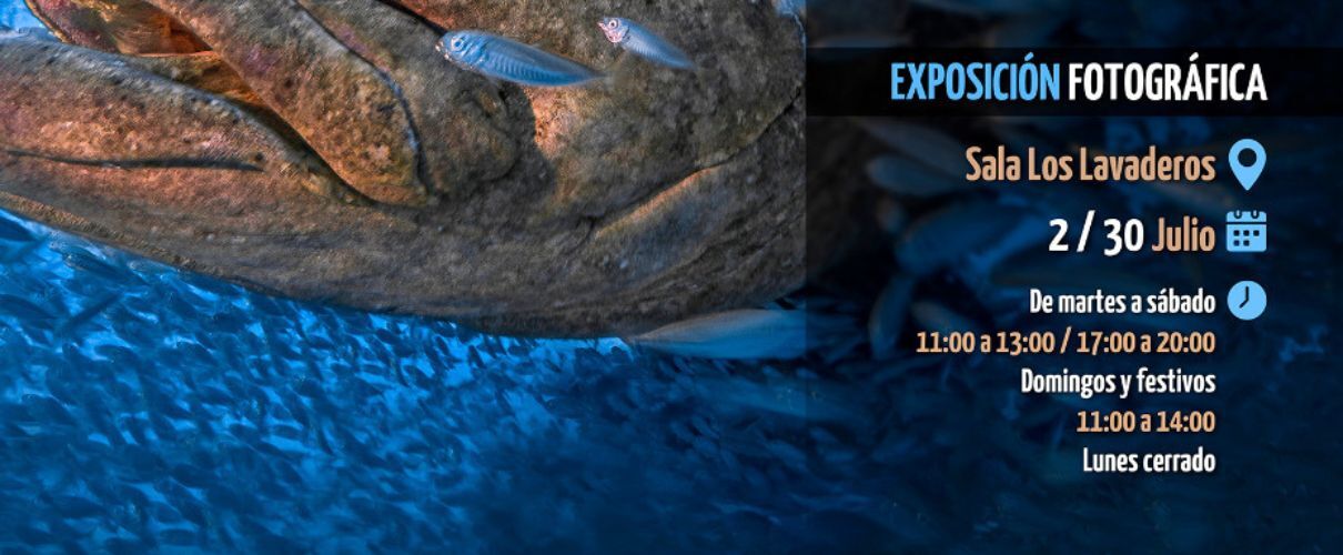 Exposition photographique CIMASUB