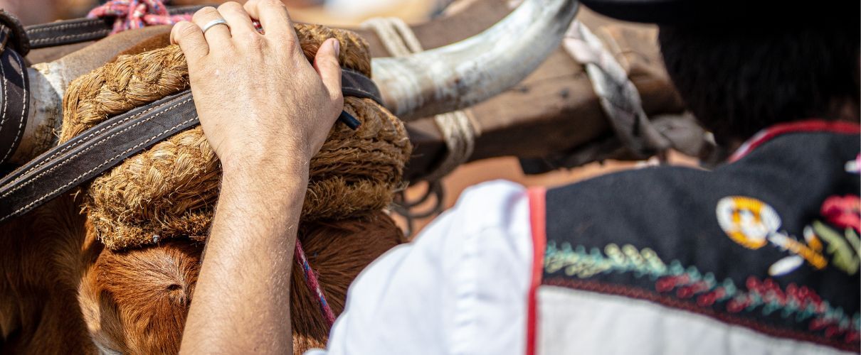 Pèlerinage de San Roque 