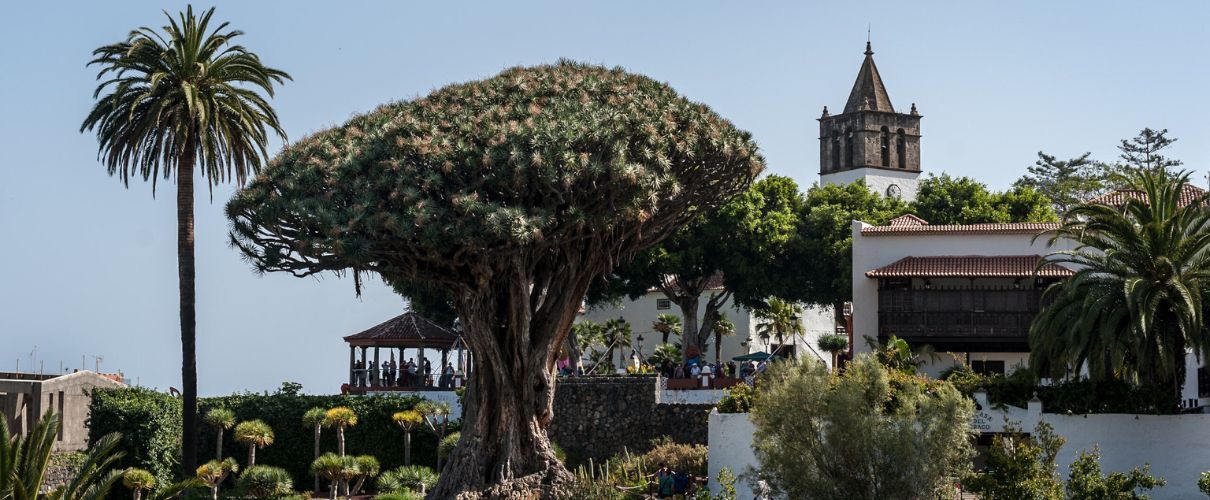 Les fetes de San Andres a Icod