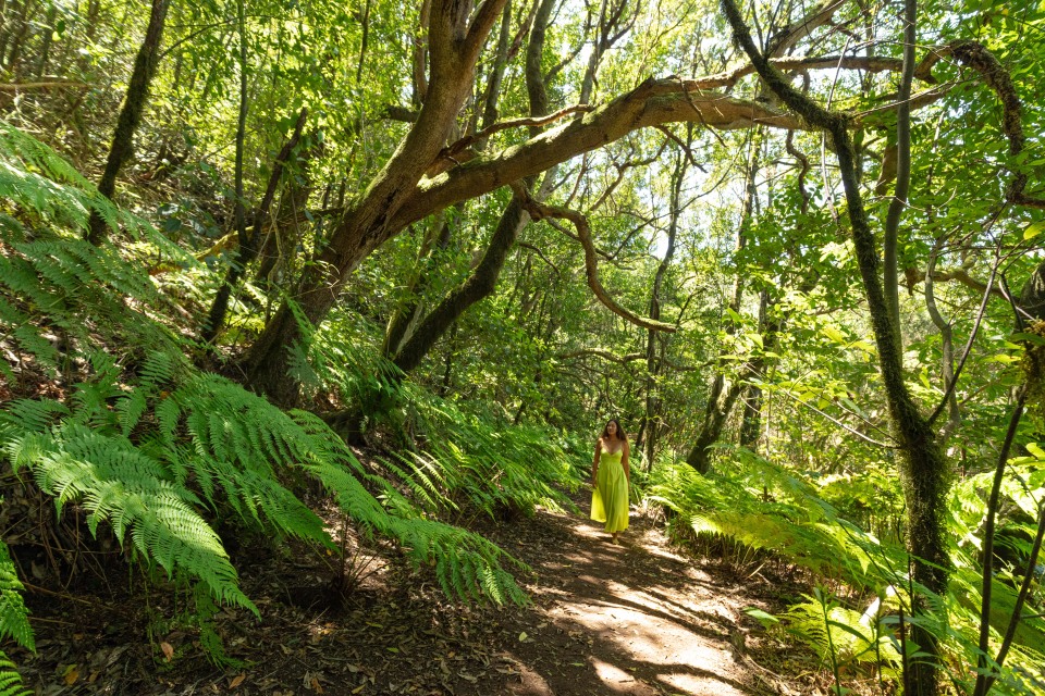 Les incontournables de Tenerife