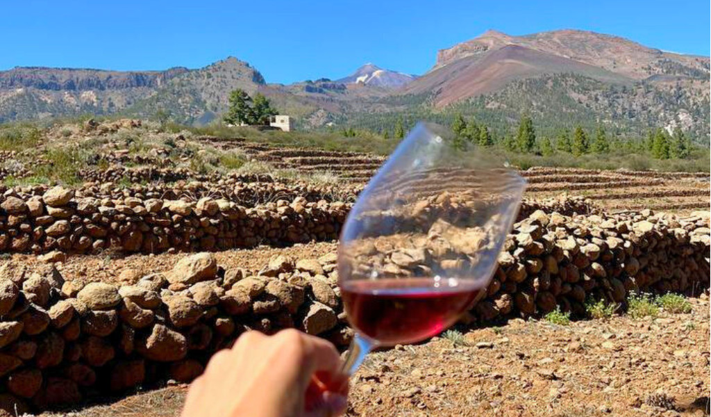 Verre de vin rouge devant un paysage montagnard à Tenerife, côte en pierre.