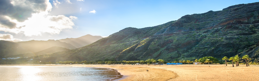 Plage de sable doré avec montagnes et palmiers à Las Teresitas, Tenerife.