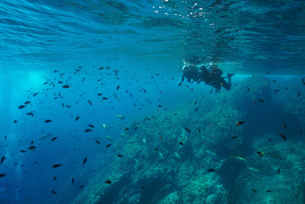 Plongeurs parmi les poissons sur un récif sous-marin à Tenerife.