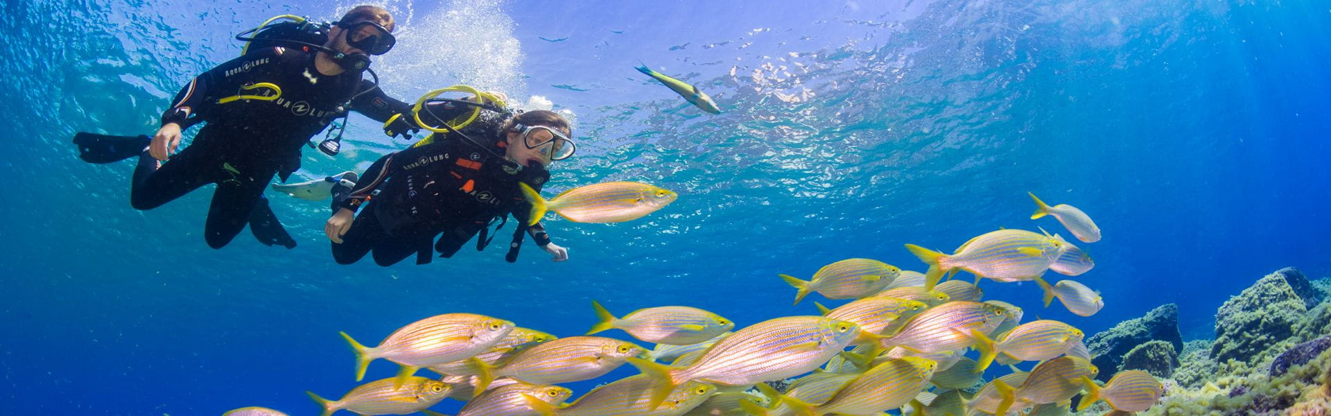 Macaronesian Divers Tenerife