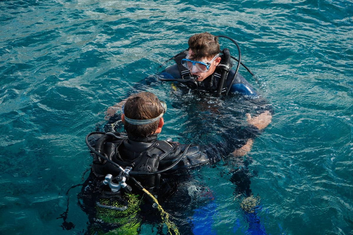 Des plongeurs discutant dans l’eau près de la côte de Tenerife.