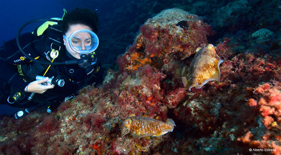 Centros de buceo