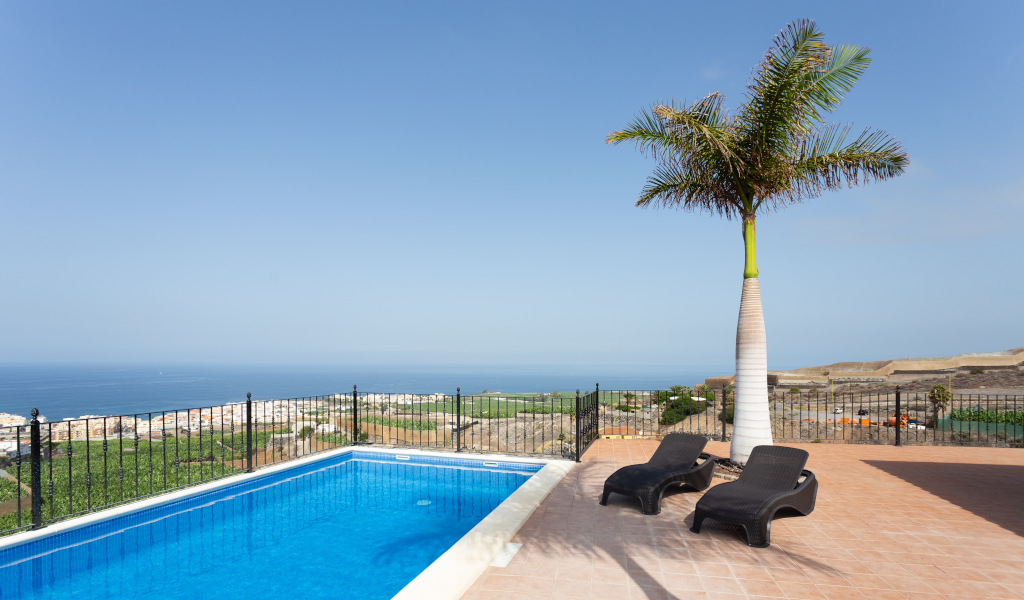 Piscine avec vue sur la mer et chaises longues à Tenerife sous un palmier.