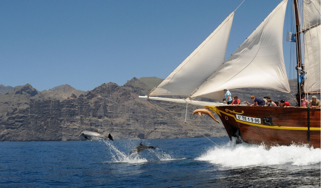 Voilier près des falaises de Los Gigantes à Tenerife avec des dauphins qui sautent.