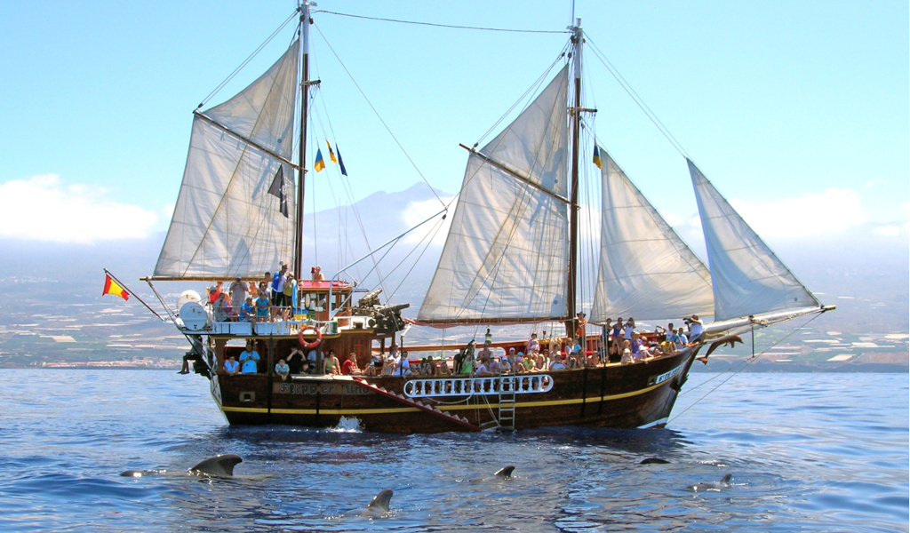 Voilier touristique en mer avec des dauphins dans les eaux de Tenerife.