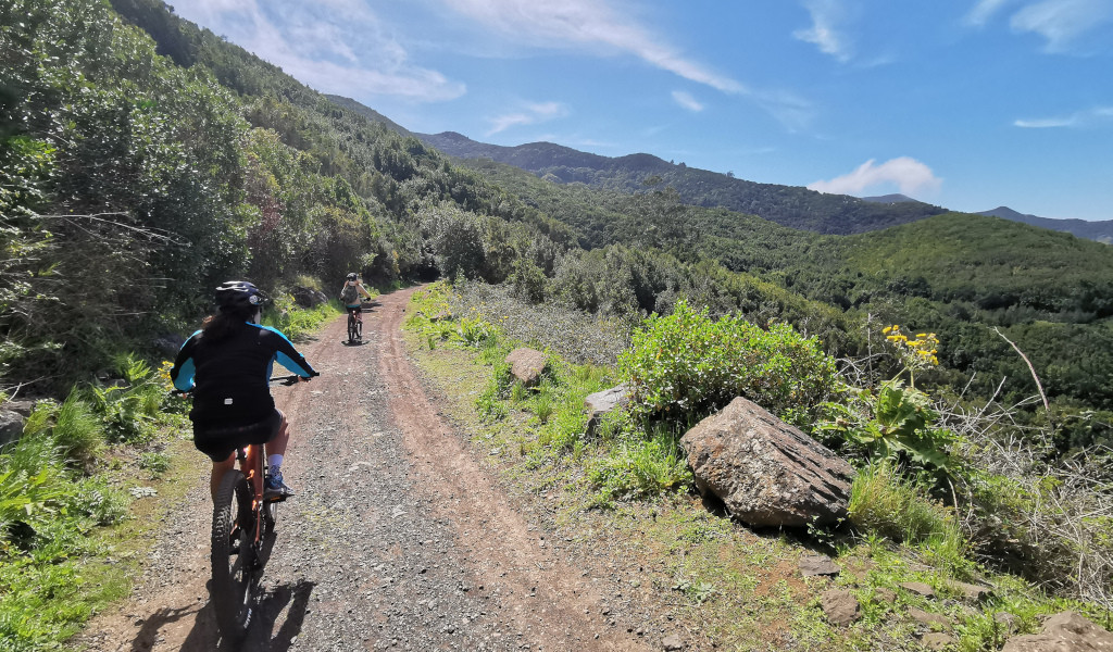 Des cyclistes sur un sentier montagneux entouré de verdure à Tenerife.