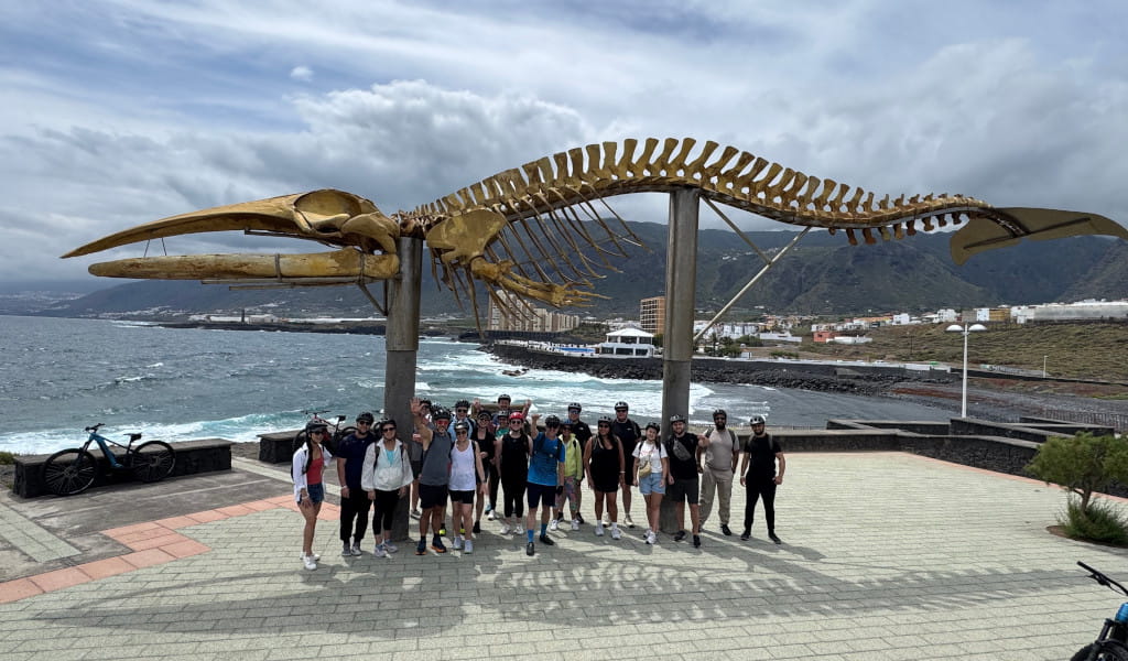 Groupe de personnes sous un squelette de baleine à Puerto de la Cruz, Tenerife.