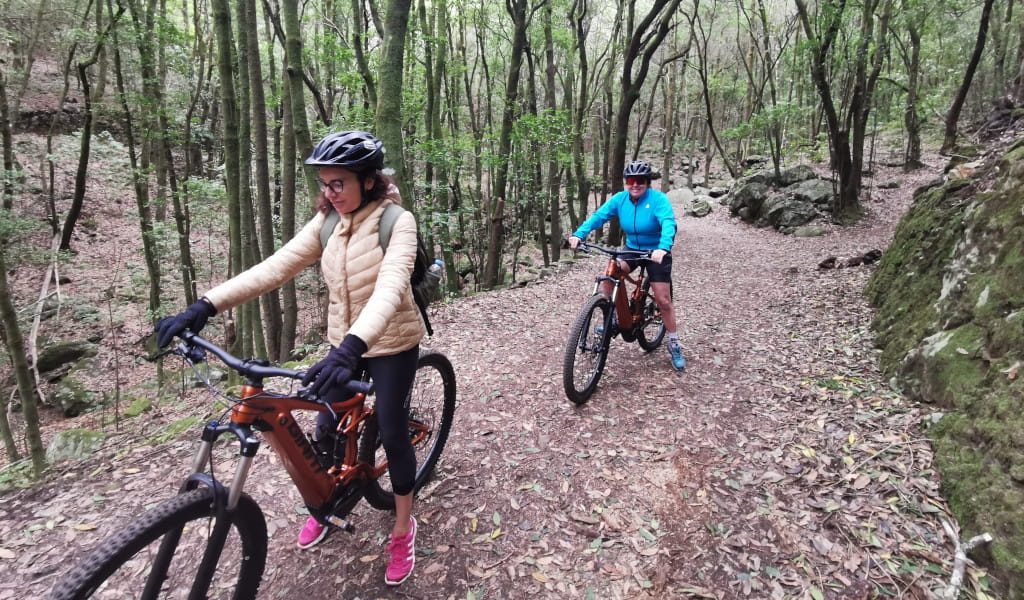 Des gens qui font du VTT sur un sentier boisé à Tenerife.