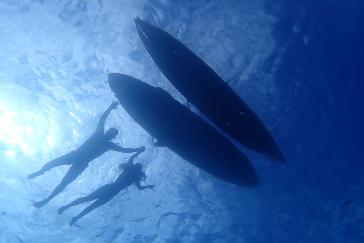 Deux personnes nagent sous l’eau à côté de planches de surf à Tenerife.