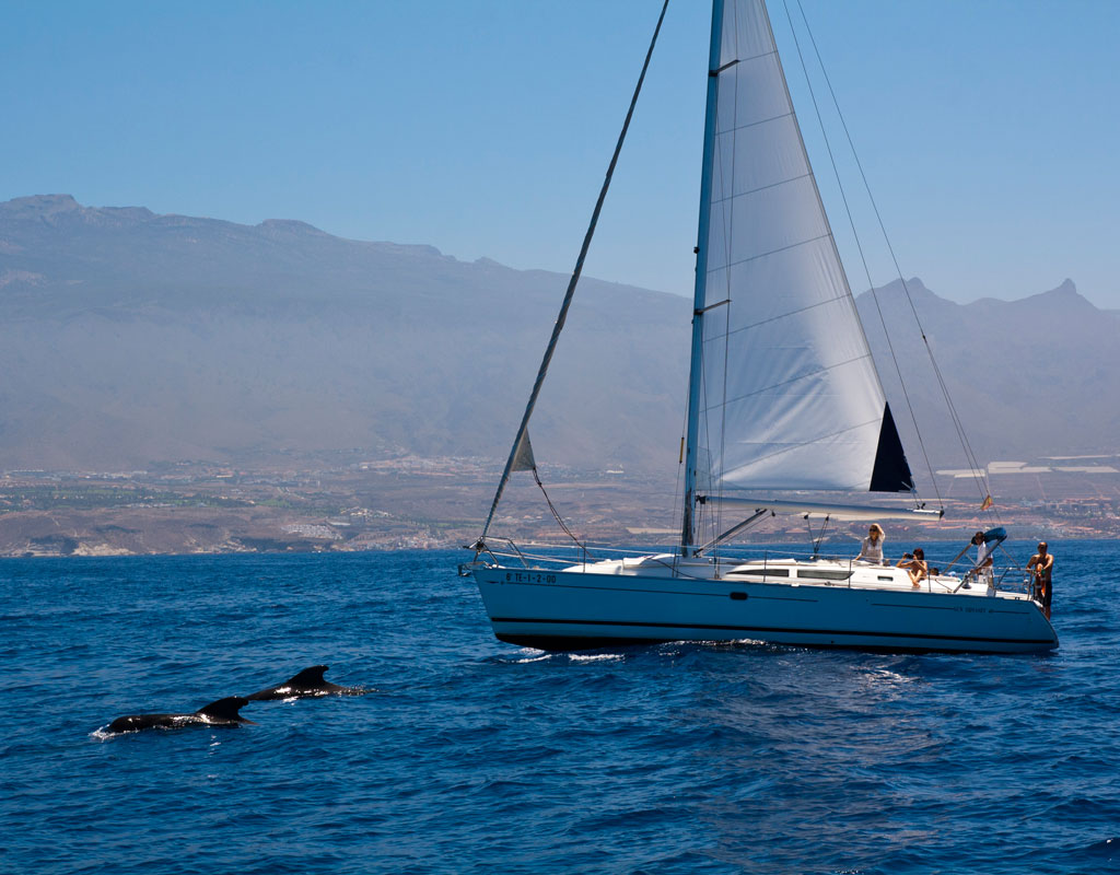 Voilier naviguant aux côtés des dauphins sur la côte de Tenerife.