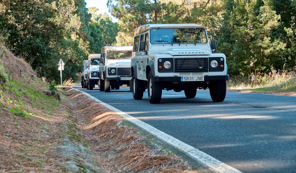 Trois Land Rover roulent le long d’une route entourée de forêt à Tenerife.