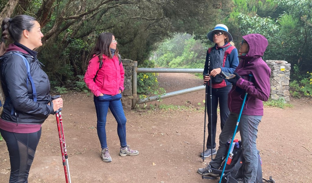 Des randonneurs discutant sur un sentier boisé à Tenerife.