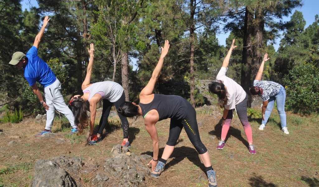 Des gens effectuant des exercices d’étirement dans une forêt à Tenerife.