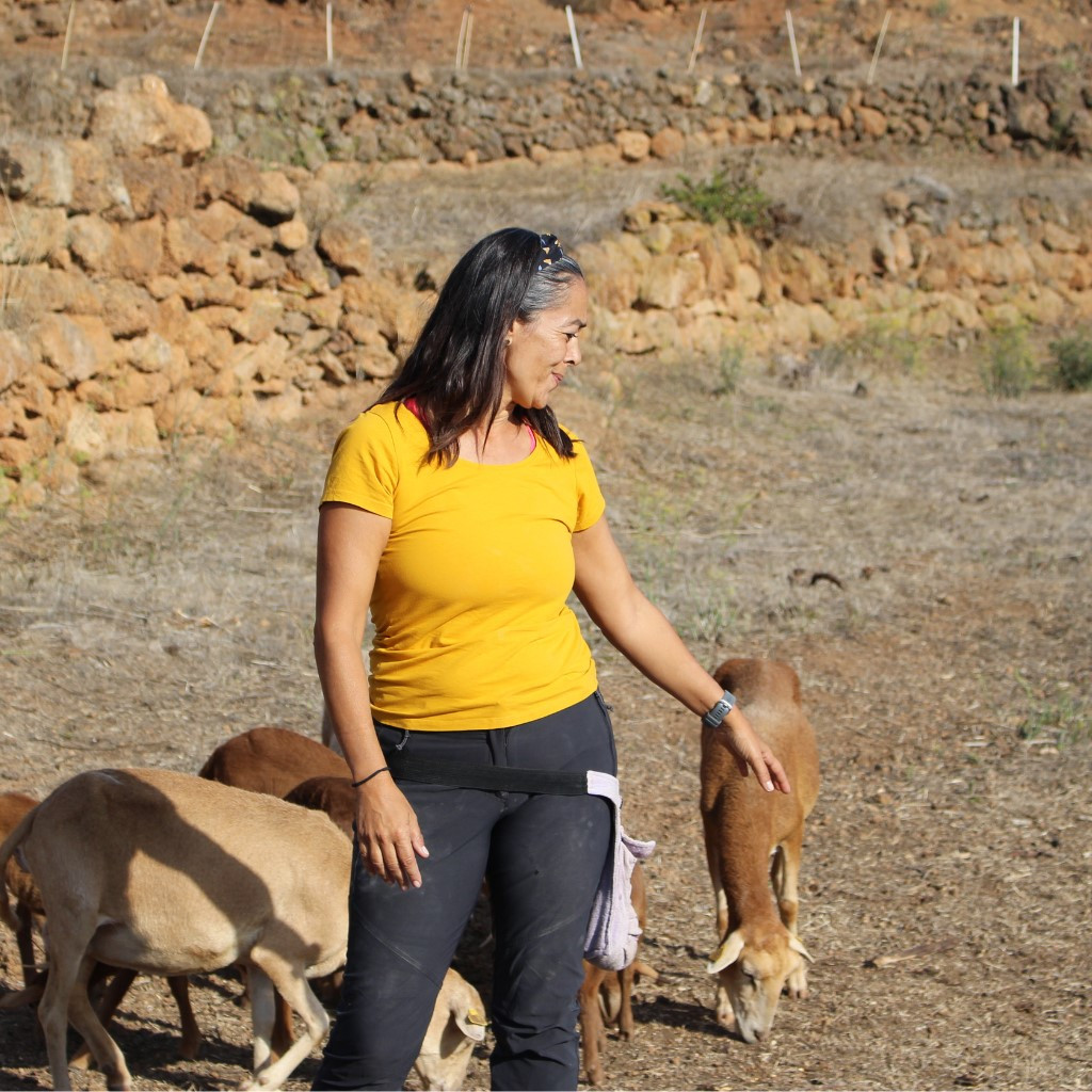 Femme à côté de chèvres paîtrant sur un terrain rural à Tenerife.