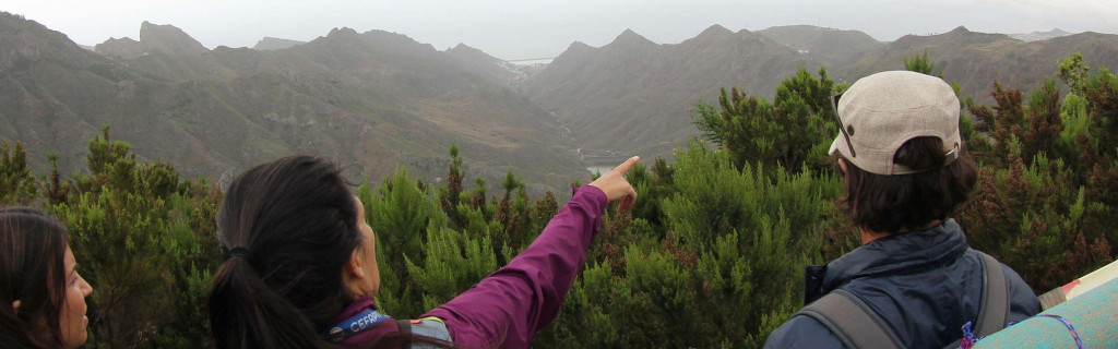 Les explorateurs observent les montagnes et la végétation à Tenerife.