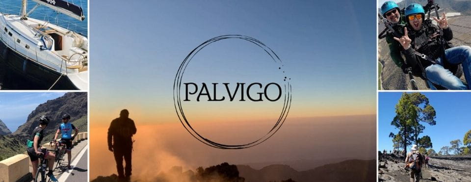 Palvigo