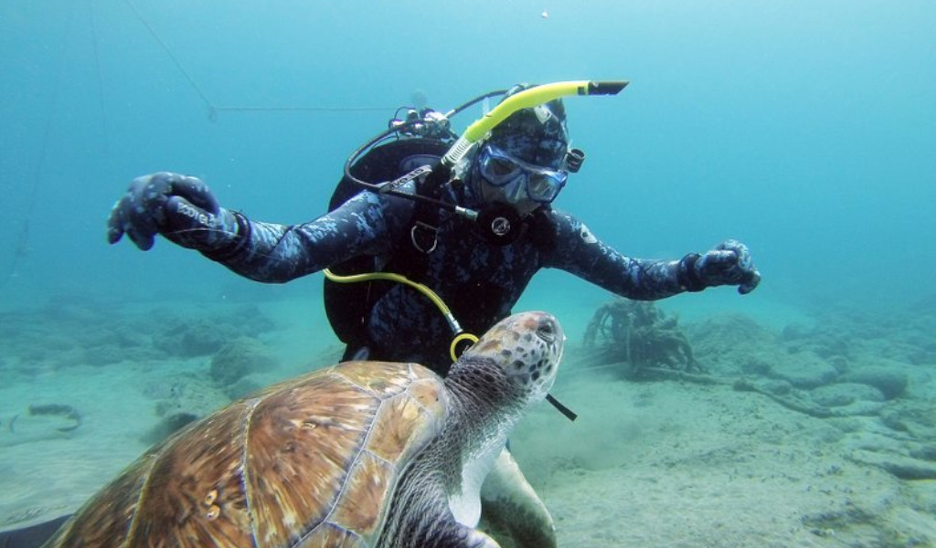 Plongeur nageant avec une tortue de mer dans les eaux de Tenerife.