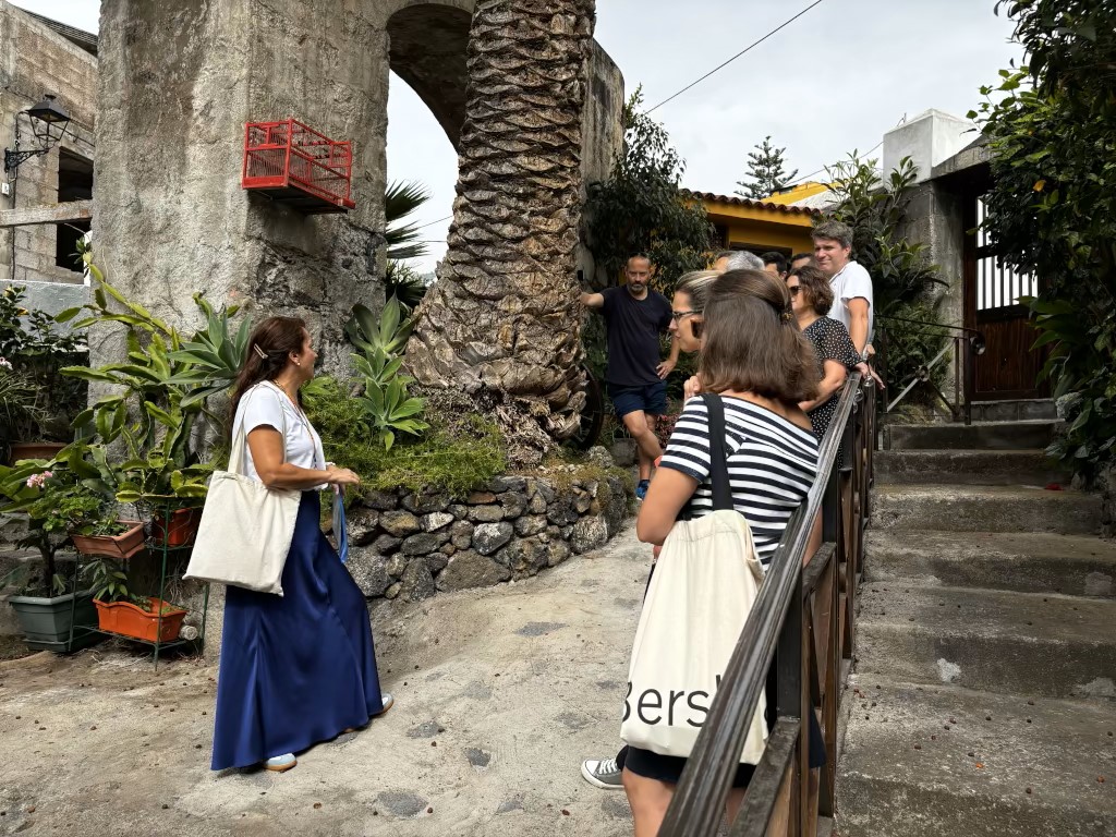 Les gens discutent et observent des plantes près d’un palmier dans un jardin à Tenerife.