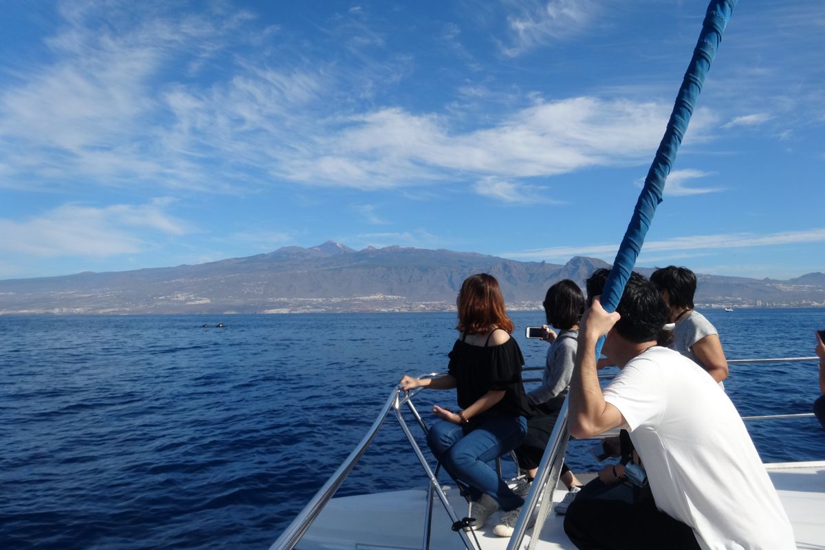 Des gens observant la mer et les montagnes depuis un bateau à Tenerife.