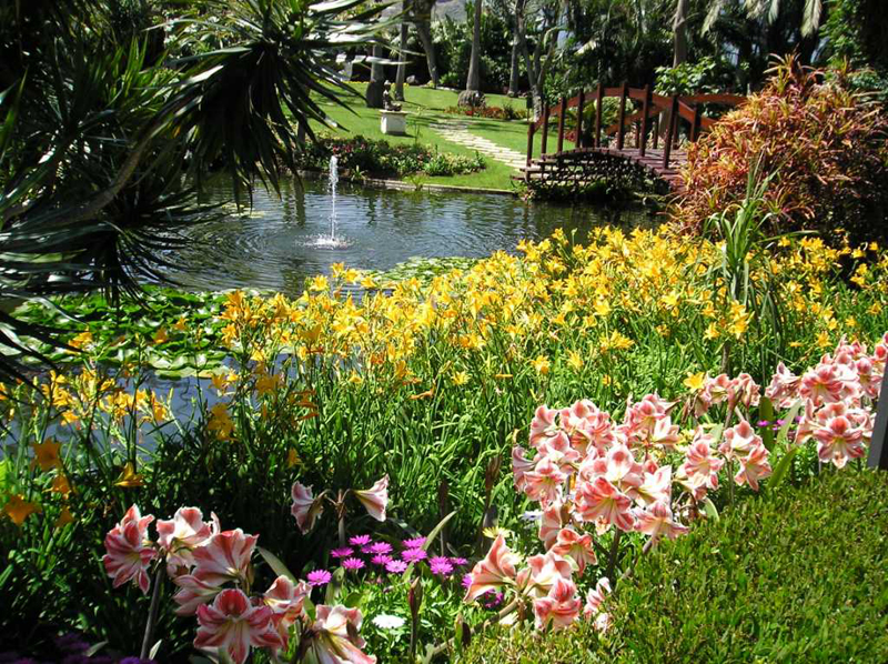 Jardin avec fleurs et étang avec fontaine et pont à Tenerife.