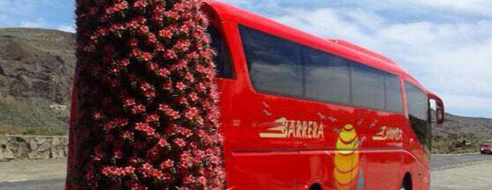 Transportes Barrera Chinea 