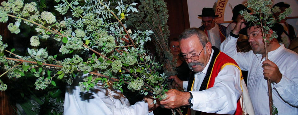 Romería del Poleo. El amparo. Icod de los Vinos