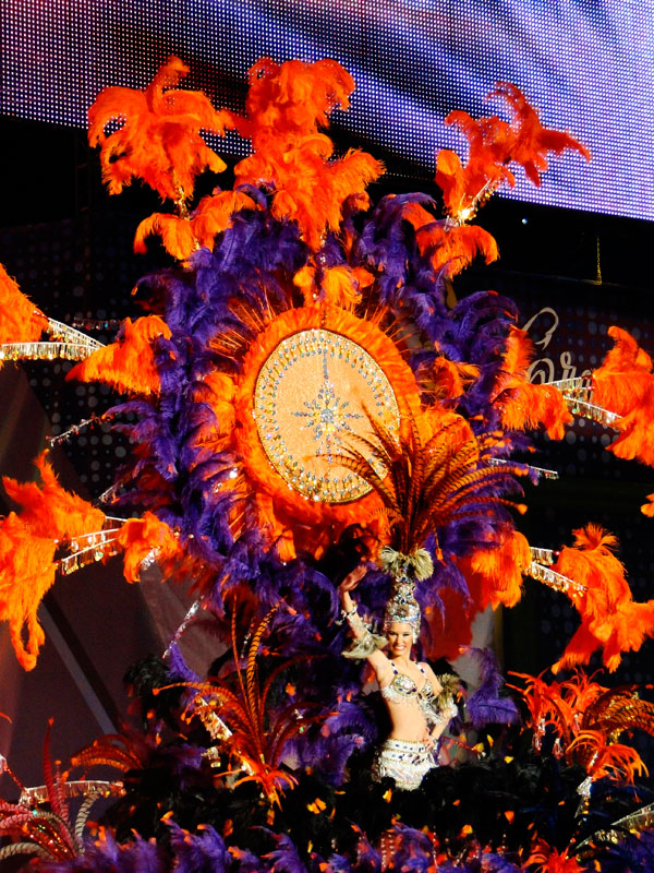 Carnaval de Santa Cruz de Tenerife avec costumes colorés et plumes.
