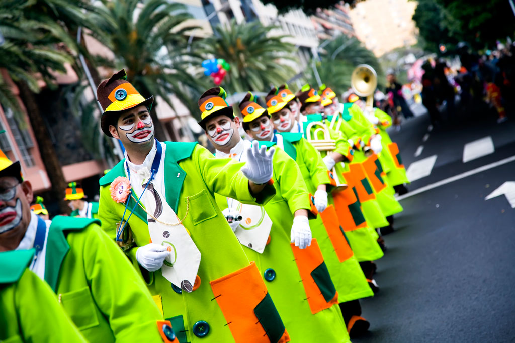 Des personnes en costume défilent au Carnaval de Santa Cruz de Tenerife.