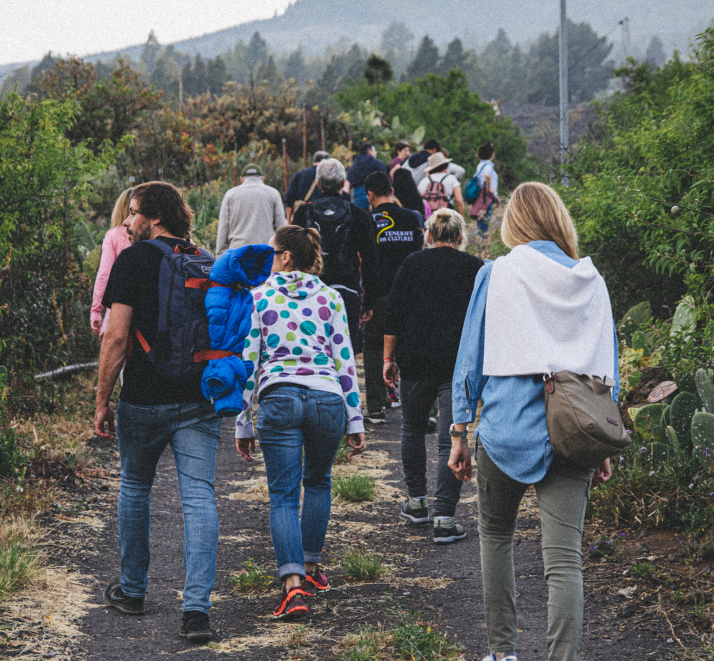 Des gens marchant sur un sentier entouré de verdure à Tenerife.